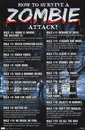 Framed Zombies - How to Survive Print