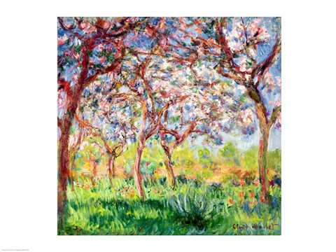 Framed Printemps a Giverny, 1903 Print