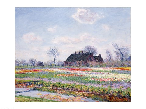 Framed Tulip Fields at Sassenheim, near Leiden, 1886 Print