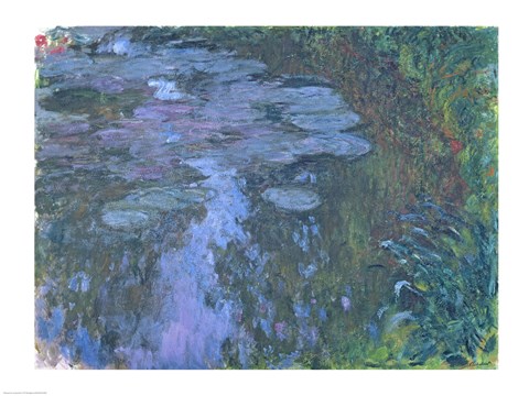 Framed Nympheas C Print