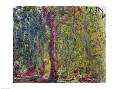 Framed Weeping Willow, 1918-19 Print