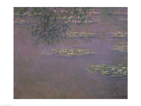 Framed Waterlilies, 1903 Print
