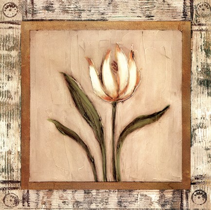 Framed Del Sol V Print