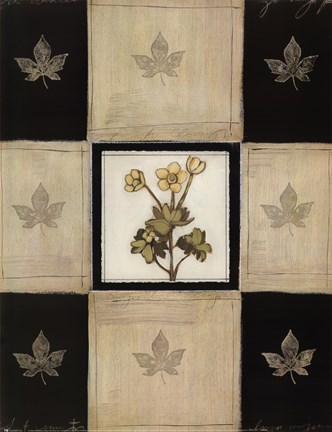 Framed Maria's Bloom 1 Print