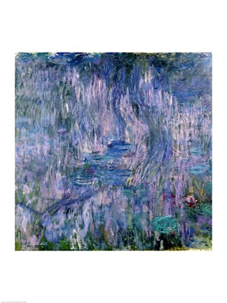 Framed Waterlilies and Reflections of a Willow Tree Print