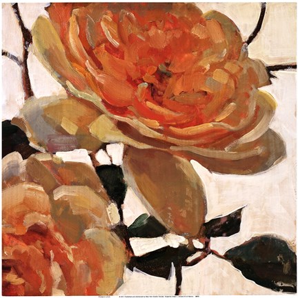 Framed Tangerine Dream I Print