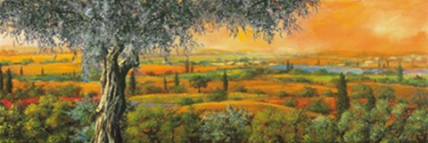 Framed Vallata degli ulivi Print