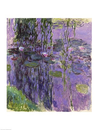 Framed Nympheas - Detail Print