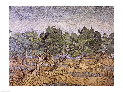 Framed Olive Orchard, Violet Soil Print