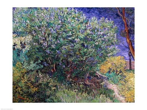 Framed Lilac Bush, 1889 Print