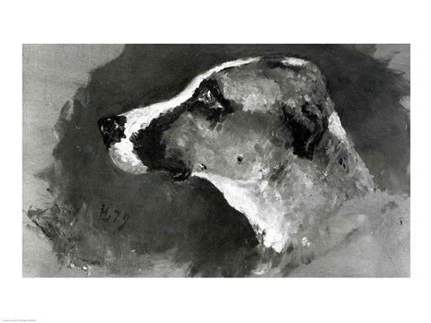 Framed Head of a Dog with Short Ears, 1879 Print