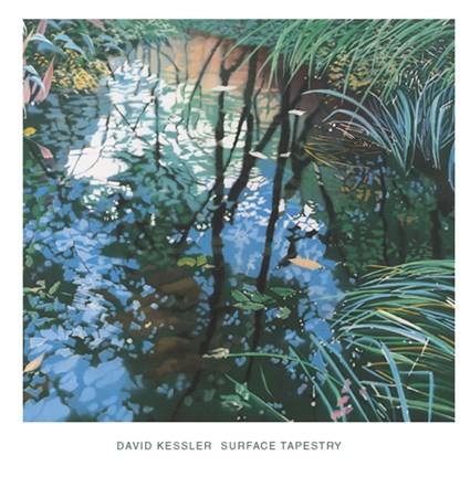 Framed Surface Tapestry II Print