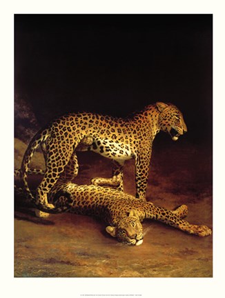 Framed Two Leopards Playing in the Exeter Change Menagerie Print
