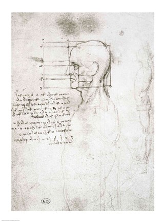 Framed Head of an Old Man in Profile Print