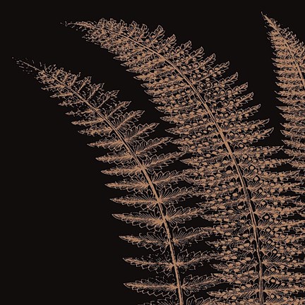 Framed Fern I (on black) Print
