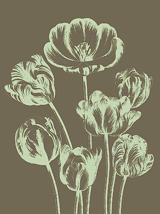 Framed Tulip 12 Print