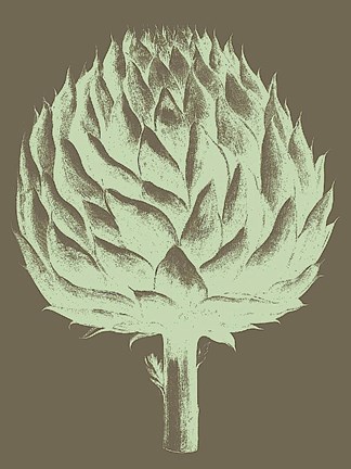 Framed Artichoke 12 Print