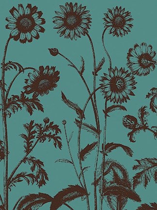 Framed Chrysanthemum 5 Print