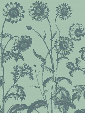 Framed Chrysanthemum 8 Print