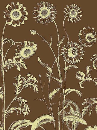 Framed Chrysanthemum 3 Print