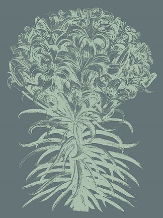 Framed Lilies 7 Print