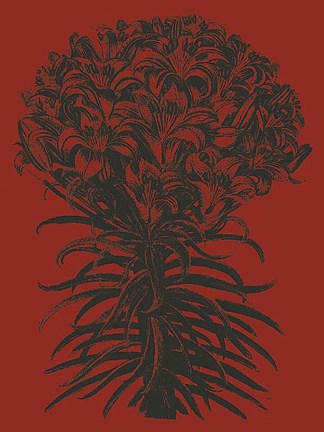 Framed Lilies 9 Print