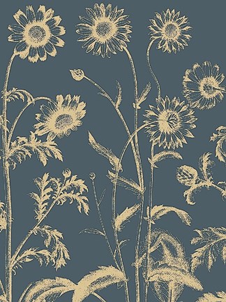 Framed Chrysanthemum 2 Print