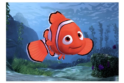 Framed Nemo Print