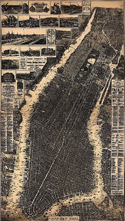 Framed City of New York 1897 Print