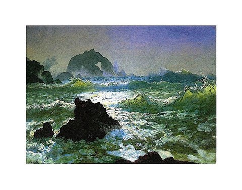 Framed Seal Rock Print
