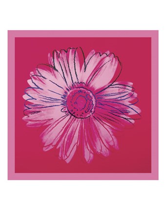 Framed Daisy, c. 1982 (crimson and pink) Print