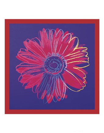 Framed Daisy, c.1982 (blue &amp; red) Print