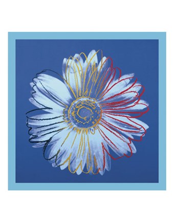 Framed Daisy, c.1982 (blue on blue) Print