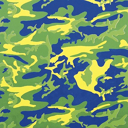 Framed Camouflage, 1987 (green, blue, yellow) Print