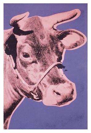 Framed Cow, 1976 (pink &amp; purple) Print