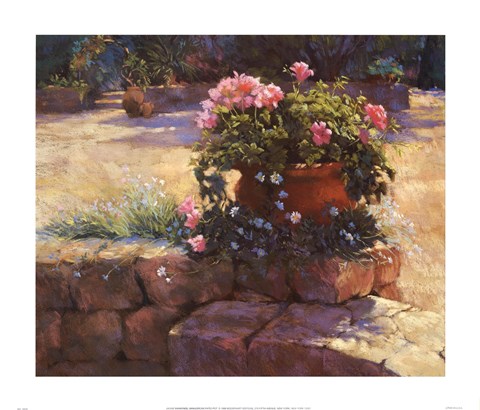 Framed Majorcan Patio Pot Print