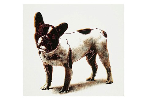 Framed Dog, 1986 Print