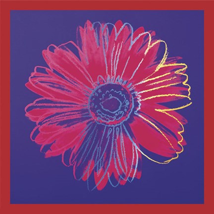Framed Daisy, c.1982 (blue &amp; red) Print