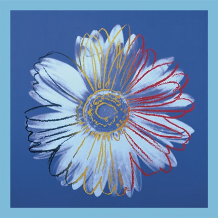 Framed Daisy, c.1982 (blue on blue) Print