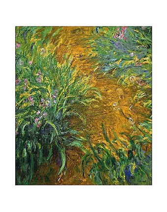 The Path in the Iris Garden Fine Art Print by Claude Monet at ...