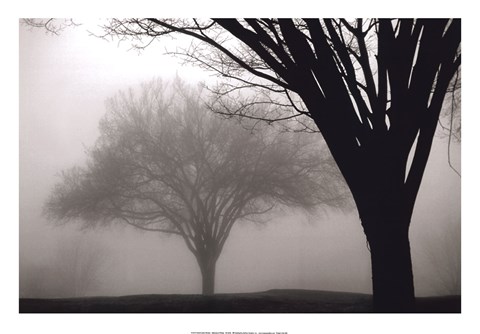 Framed Memories of Winter Print