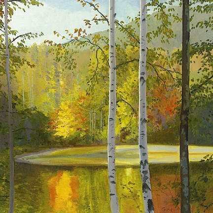 Framed Cooper Lake, Autumn Print