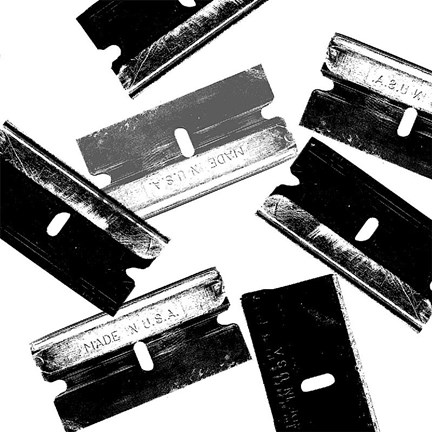 Framed Silver Blades Print