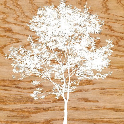 Framed Snowy Tree Print