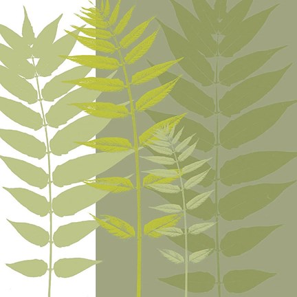 Framed Field Greens Print