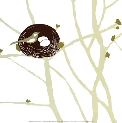 Framed Feathers and Twigs Print