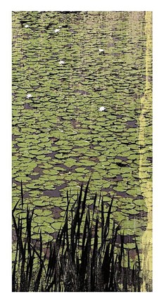 Framed Lily Pond III Print