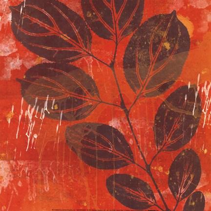 Framed Exotic Vine Print