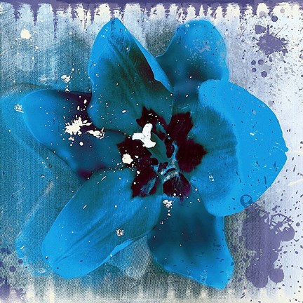 Framed Tulip Fresco (blue) Print
