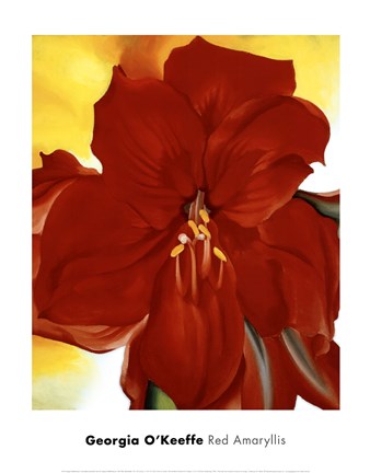 Framed Red Amaryllis, 1937 Print